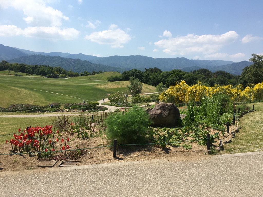 まんのう公園