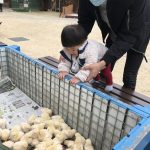 『しろとり動物園』に行ってきました🦁