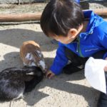 『しろとり動物園』🐘へ行ってきました😎⭐*