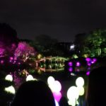 仕事終わりに栗林公園へ 🌈 *