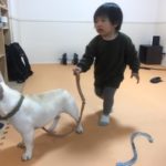 友人宅へ🏡犬に慣れすぎた息子👦🏻